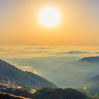 GrupoFarma Ecuador Blog Vitamina D 320x320 1-grupofarmadelecuador