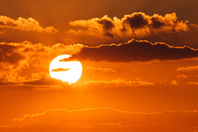El sol inicia la historia. La vitamina D la completa.